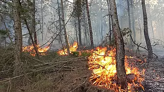 İsrail'de Orman Yangını Kontrol Altına Alındı
