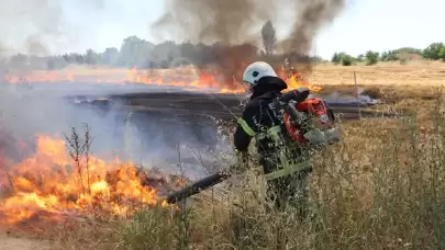 Edirne'de Anız Yangını Yerleşim Yerlerini Tehdit Ediyor