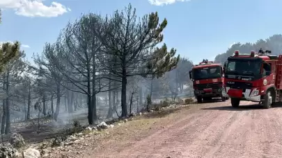 Kütahya'da Kontrol Altına Alınan Orman Yangınında 2 Hektarlık Alan Zarar Gördü.