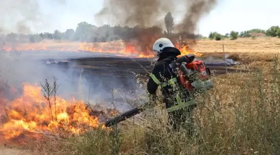 Edirne'de Anız Yangını Yerleşim Yerlerini Tehdit Ediyor